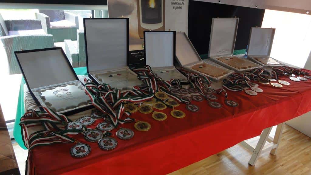 CIS serie Master 2016