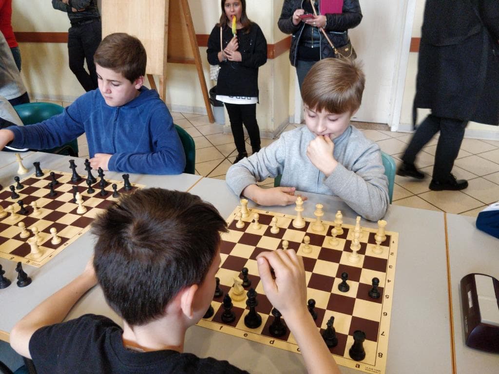 TSS Fase provinciale di Ferrara