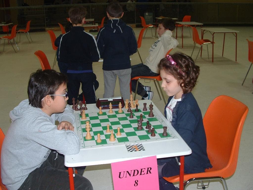 Fase Provinciale di Modena del C.I.G. 2013