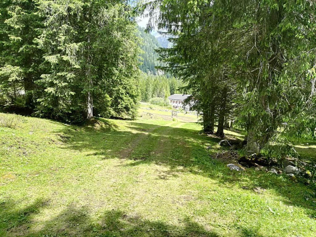 Chess champ camp, dal 18 al 24 giugno 2018